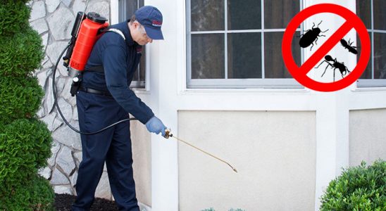 Pozantı Tahtakurusu İlaçlama böcek ilaçlama ve haşere kontrolü — ilaclama-tr.com
